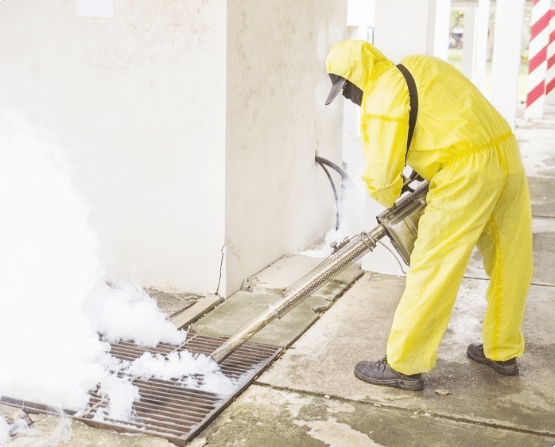 class b asbestos removal townsville